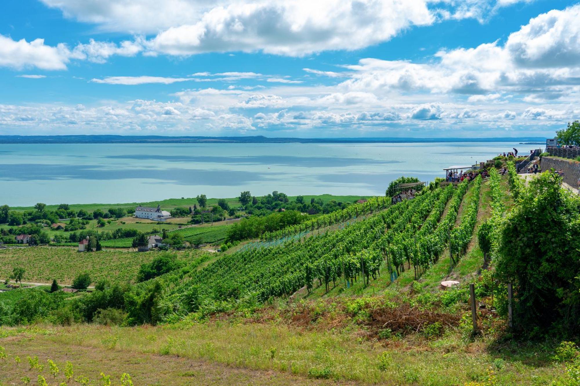 Lake Side Luxury Steps To The Lake Lela - Happy Rentals Balatonlelle Εξωτερικό φωτογραφία